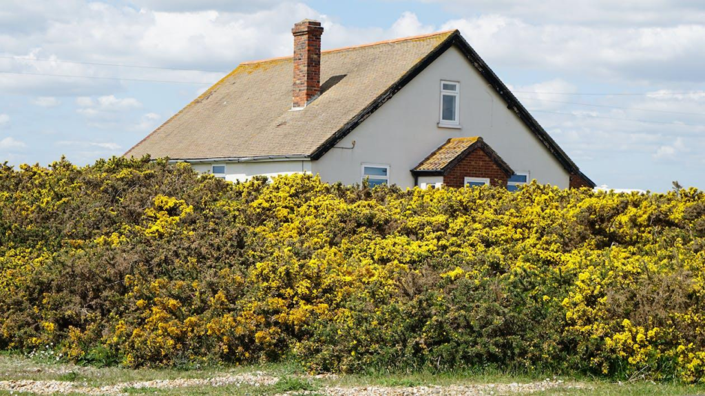 House with a brick chimney