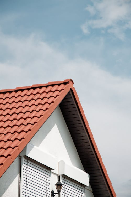 House near woods with a newly installed durable roof offering lasting protection.