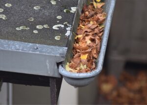 gutters service Mount Vernon