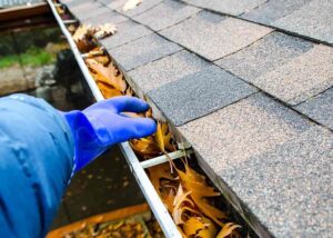 cleaning gutters service Mount Vernon