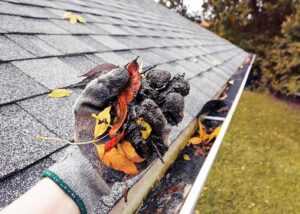 guttering cleaning services Bronx NY