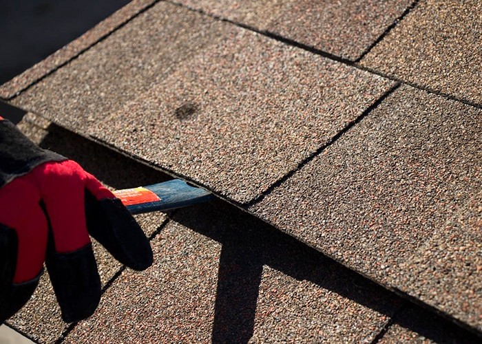 what is the best asphalt shingle for Bronx NY homes?