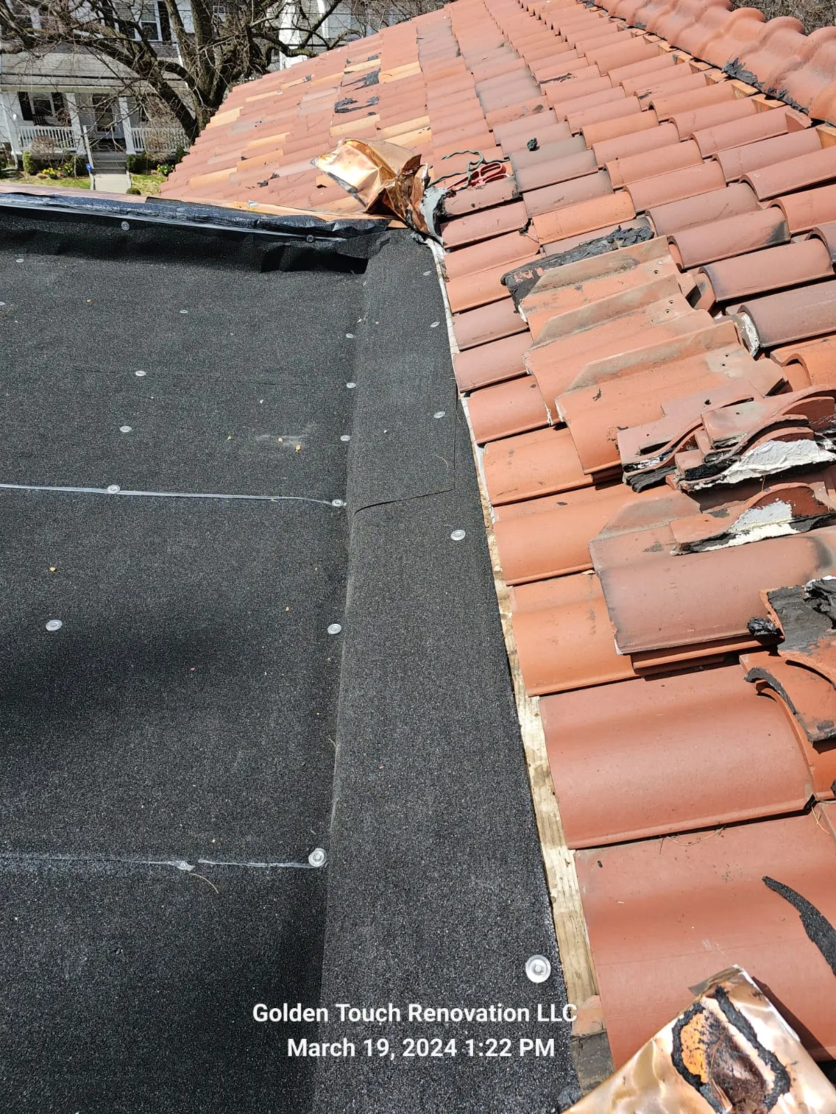 flat roof 007