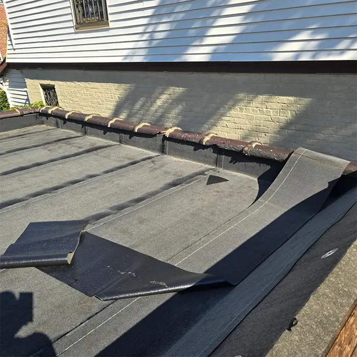 Professional Roof01