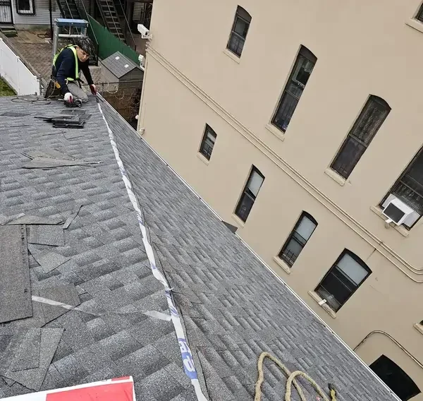 shingles roof